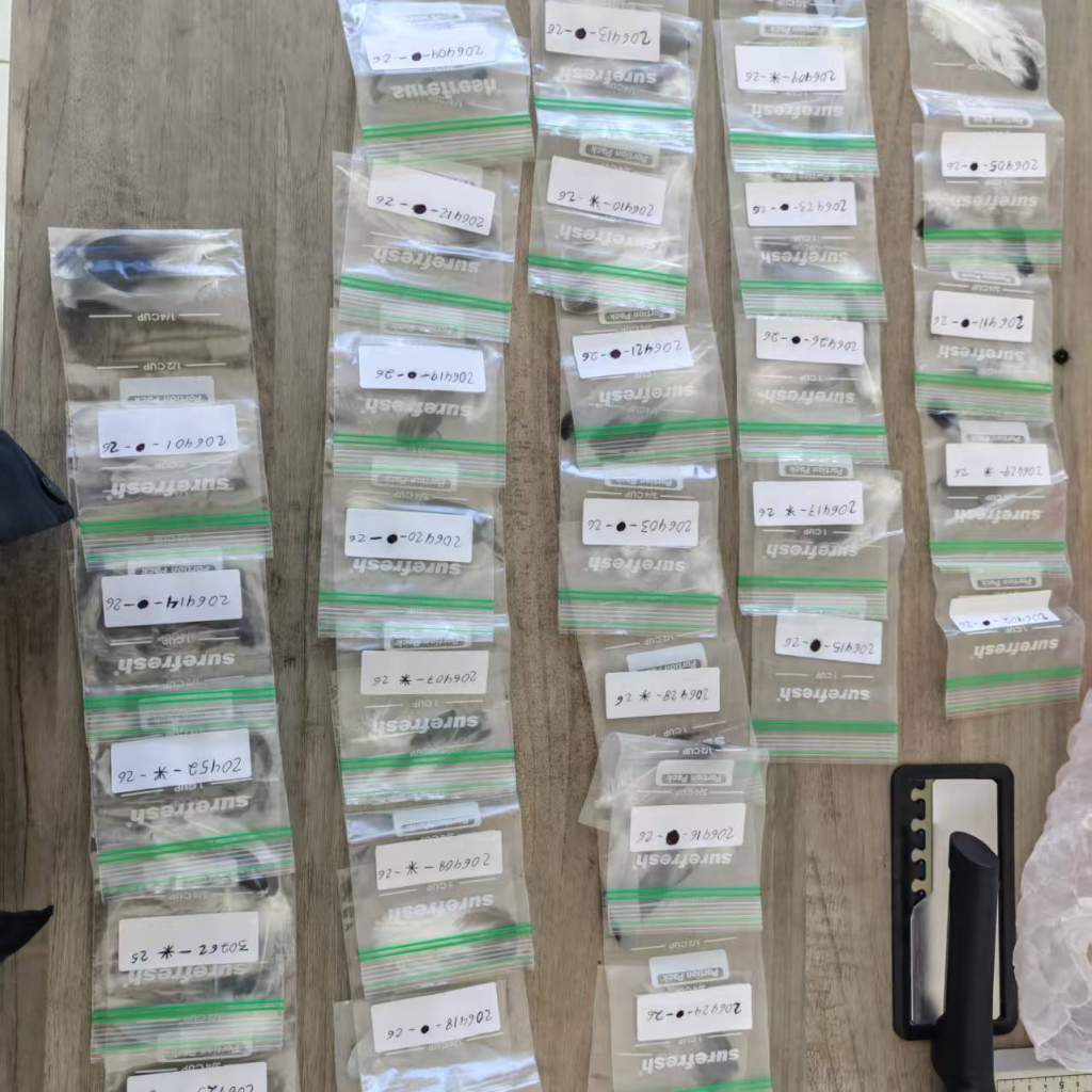 SENO INTERNATIONAL AVIAN GENETIC TEST CENTER - International Samples
