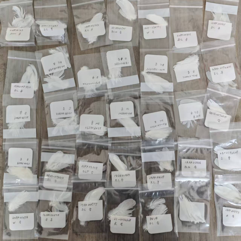 SENO INTERNATIONAL AVIAN GENETIC TEST CENTER - International Samples